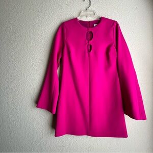 Zara Pink Long Sleeve Dress